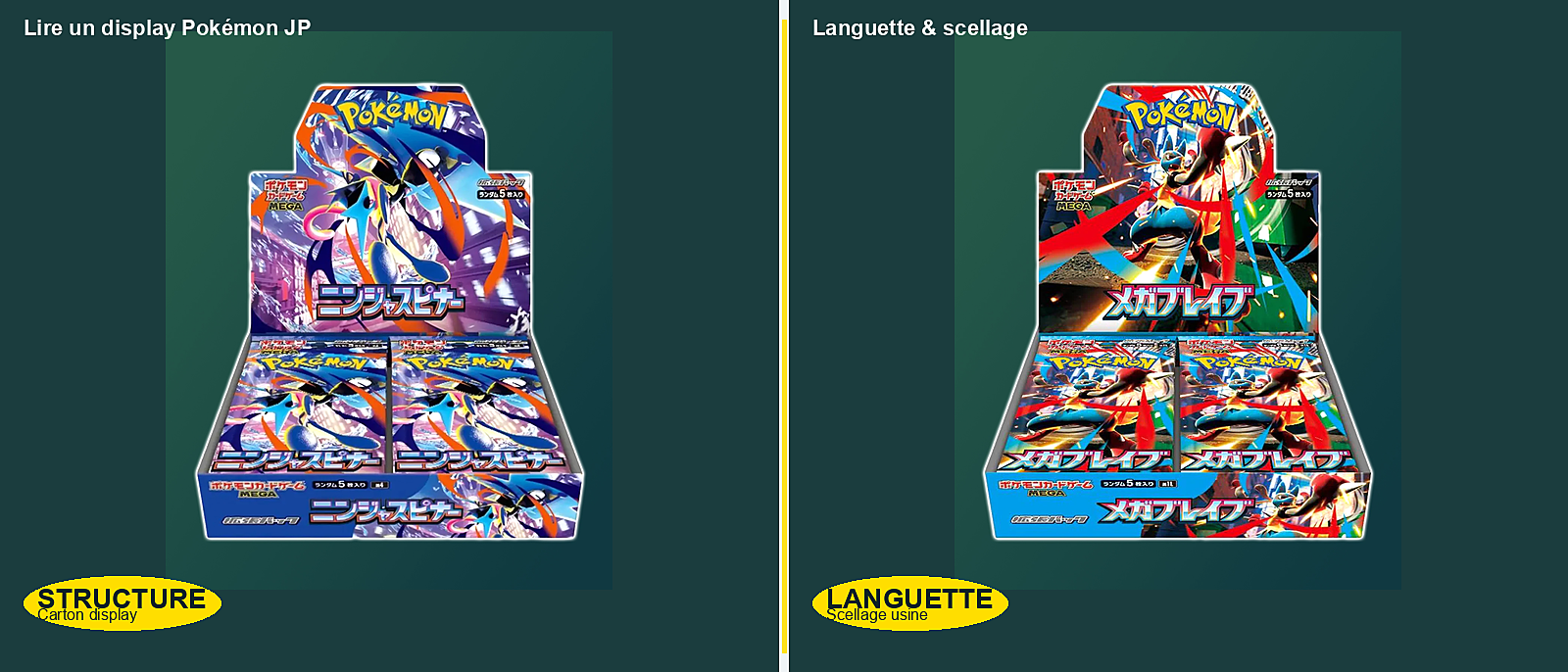 Comment lire un display Pokémon japonais — languette et scellage